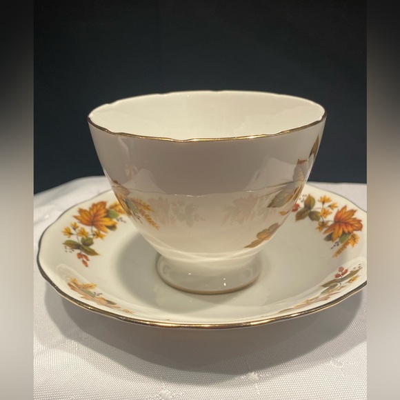 Queen Anne Teacup and Saucer, Ridgway Potteries,Fall Autumn, English Bone China - Picture 4 of 9